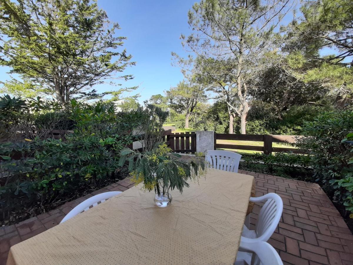 Maison Renovee Avec Terrasse A 700M Des Plages, Marche Et Activites - Tennis Et Piste Cyclable A 10M - Fr-1-239-385 Seignosse ภายนอก รูปภาพ